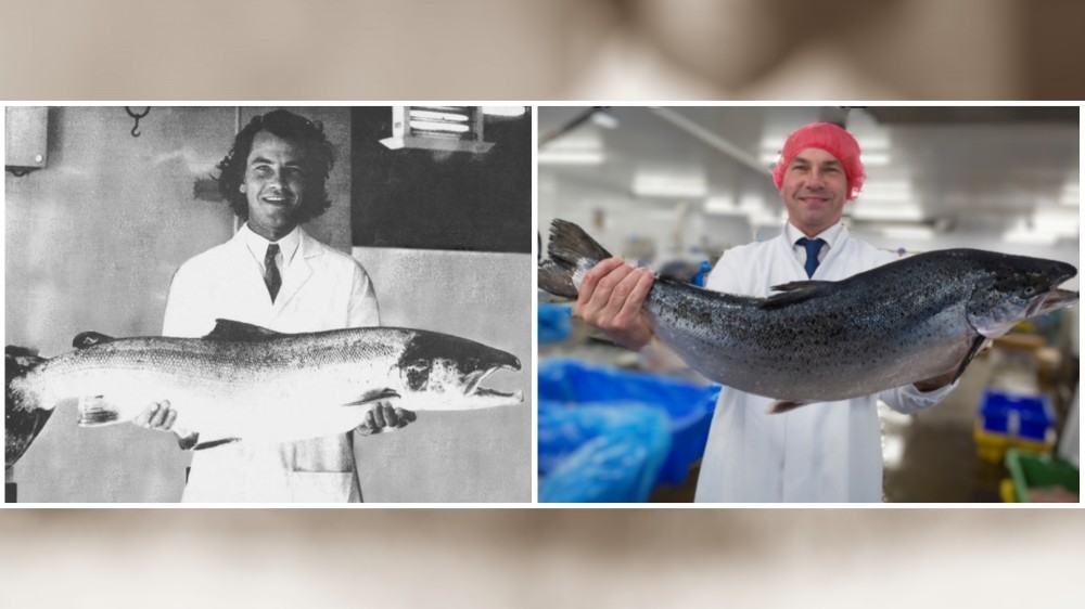 Andy Coulbeck is celebrating 44 years in seafood this month