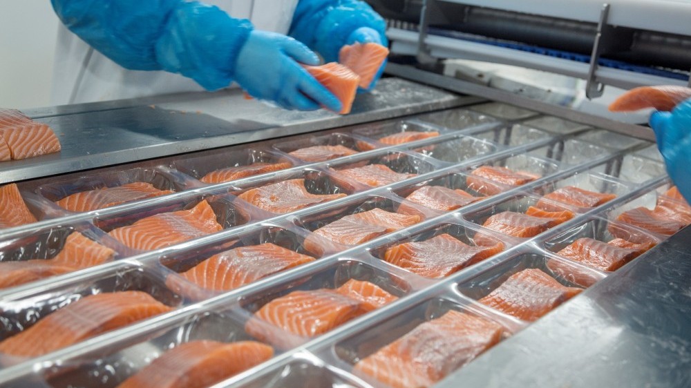 Years of experience in handling the finest salmon