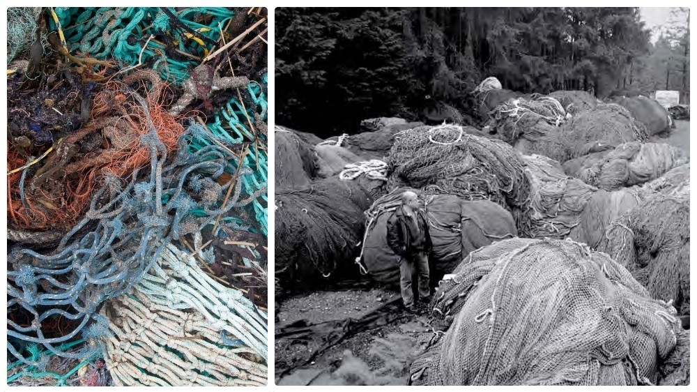 640,000 tonnes of fishing nets are discarded or lost to the oceans each year